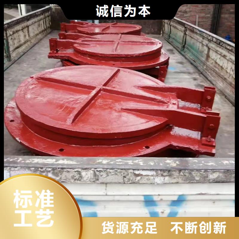 鑄鐵閘門(mén) 螺桿啟閉機(jī)廠家供您所需