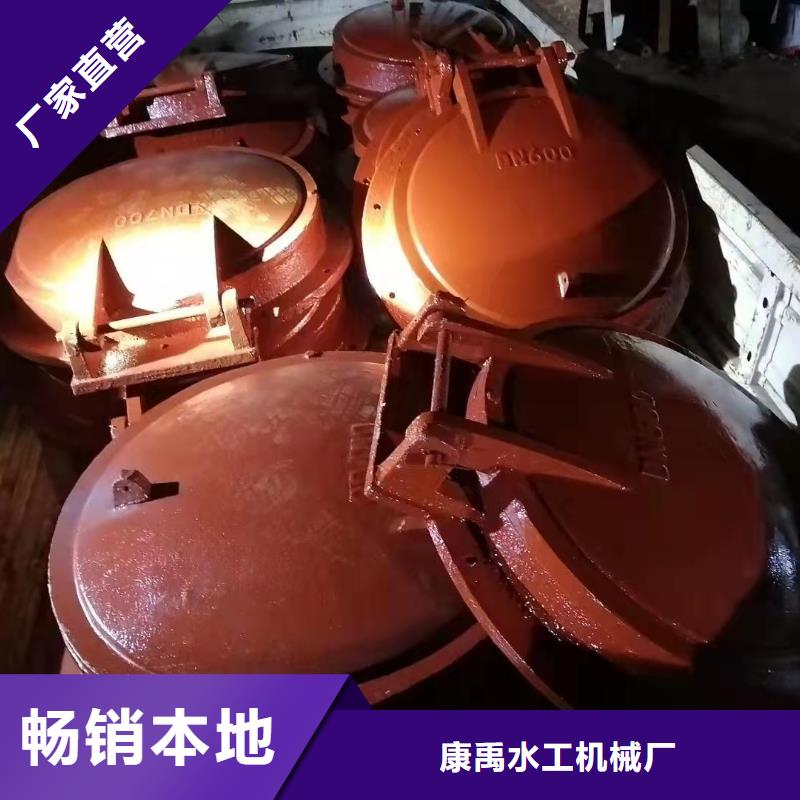  铸铁闸门品种全