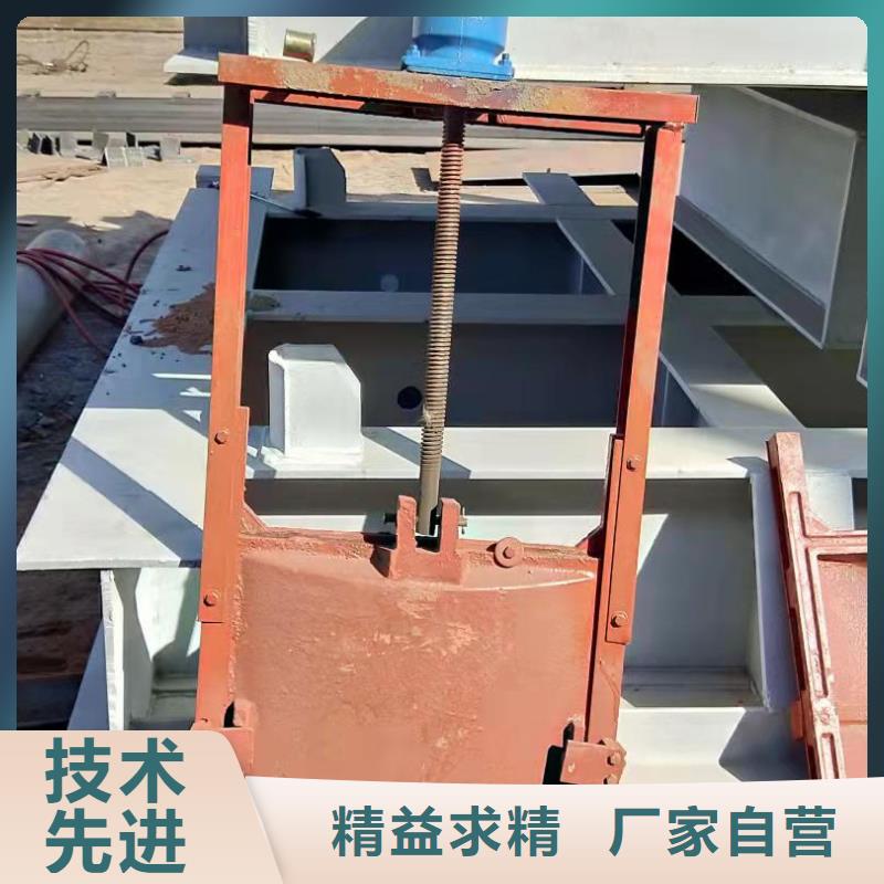 鑄鐵閘門-【液壓啟閉機(jī)】按需定制真材實(shí)料
