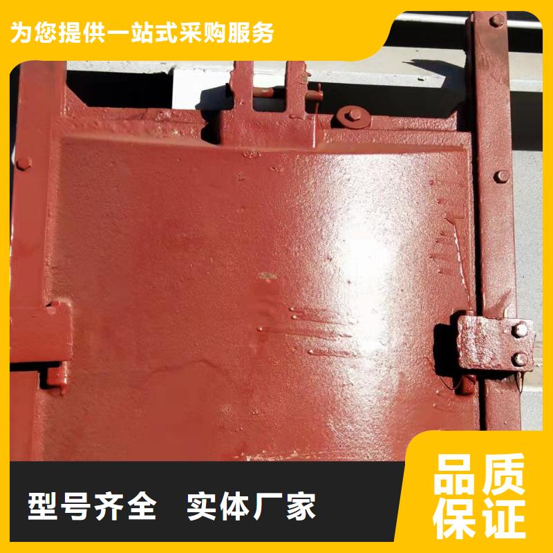 批發(fā)河道鑄鐵閘門