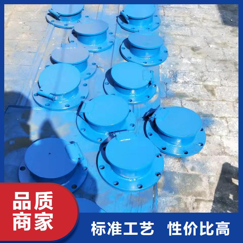  铸铁闸门按需设计
