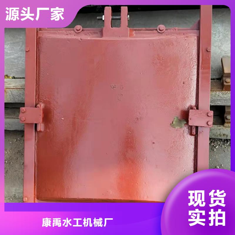 质量可靠的插板铸铁闸门生产厂家