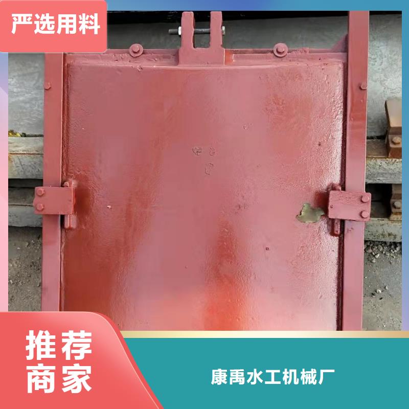 鑄鐵閘門品質(zhì)之選
