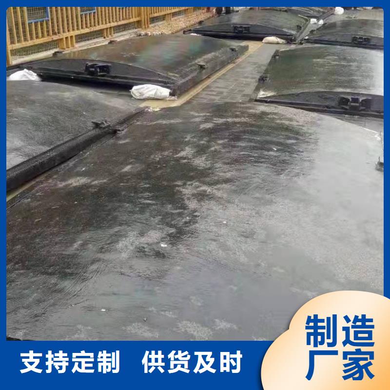 鑄鐵閘門河道清污機分類和特點
