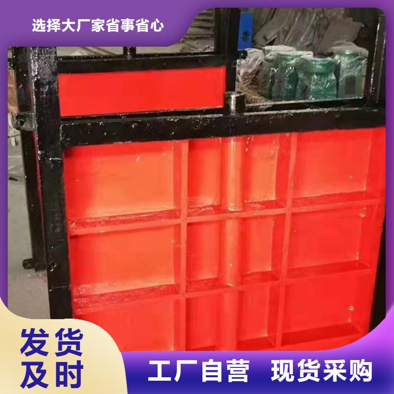 铸铁闸门厂家实力雄厚