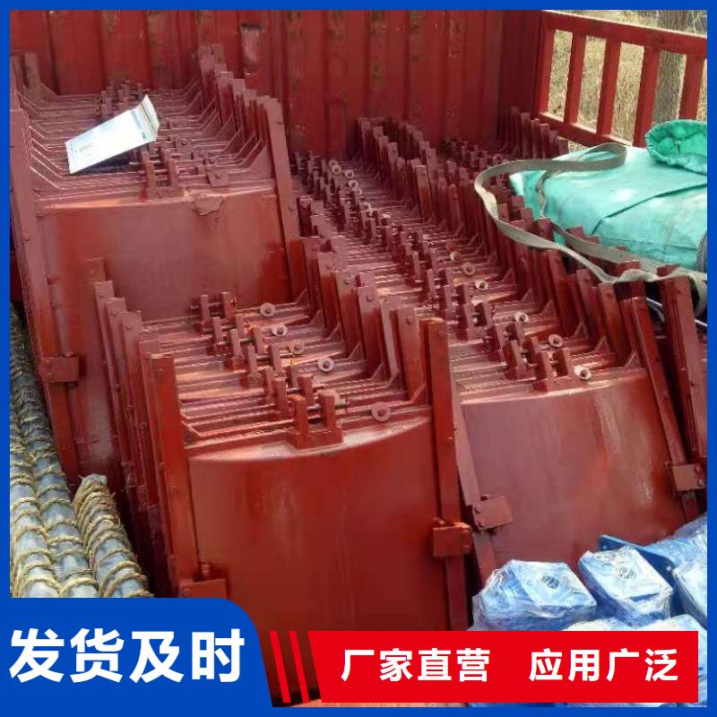 鑄鐵閘門拍門廠家源廠直銷