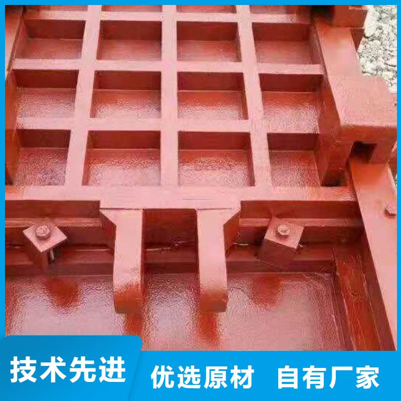 鑄鐵閘門支持非標定制