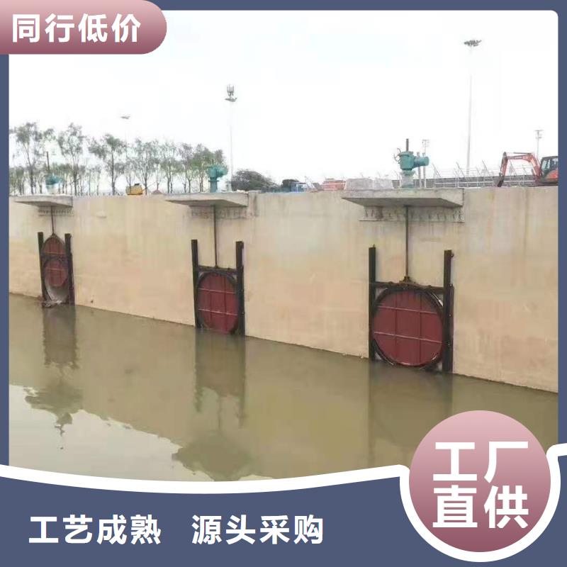 水電站鑄鐵閘門市場價格