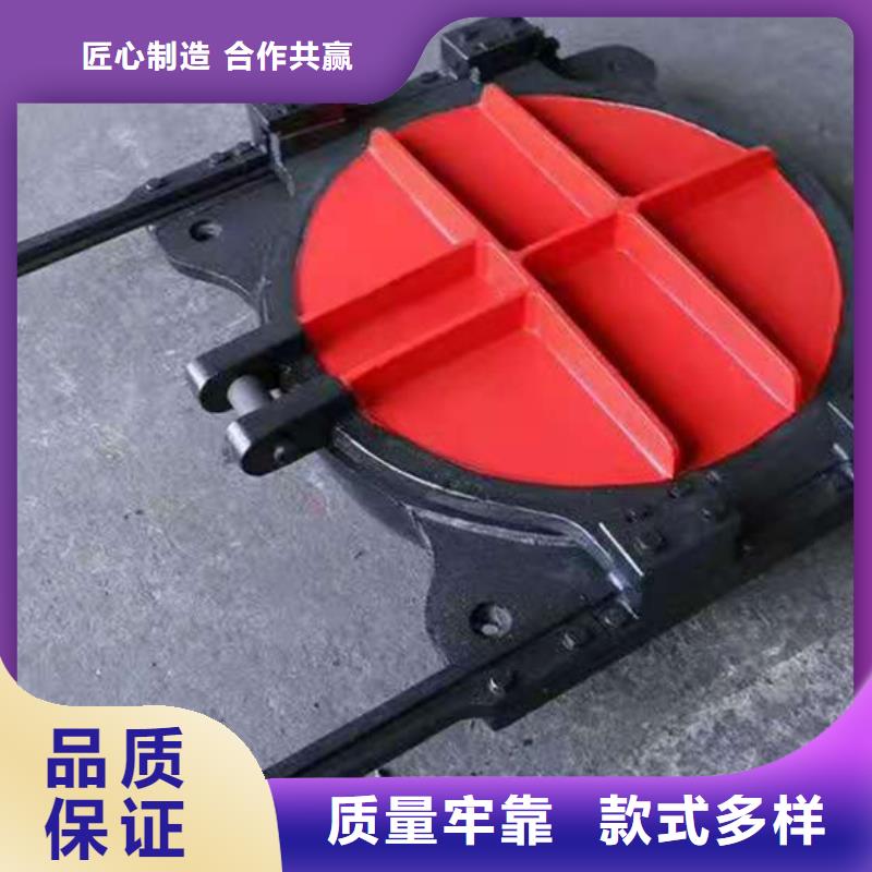 鑄鐵閘門啟閉機(jī)閘門品質(zhì)保證