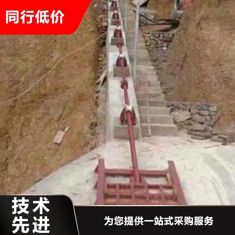 機(jī)閘一體式鑄鐵閘門規(guī)格齊全