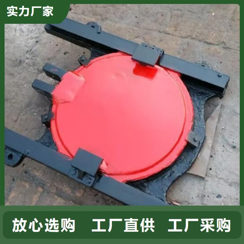  铸铁闸门品种全