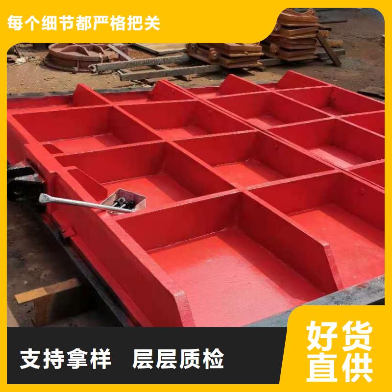 铸铁闸门品种全
