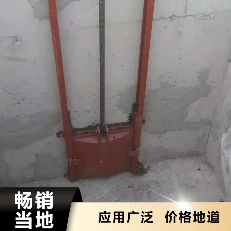 水電站鑄鐵閘門廠家直銷