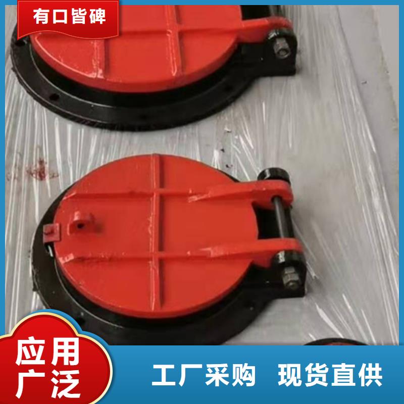 【鑄鐵閘門 啟閉機閘門廠家精益求精】