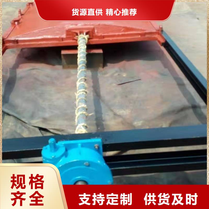 鑄鐵閘門閘門啟閉機(jī)廠家高標(biāo)準(zhǔn)高品質(zhì)