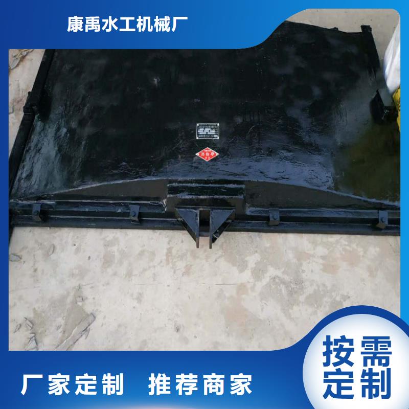 铸铁闸门用心做品质
