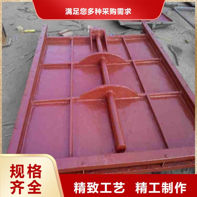 鑄鐵閘門-螺桿啟閉機廠家產(chǎn)品細節(jié)