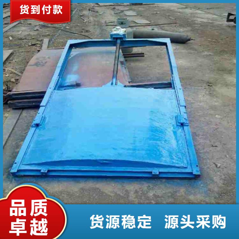 鑄鐵閘門啟閉機閘門廠家專注質(zhì)量