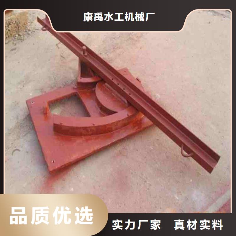 铸铁闸门清污机来图定制