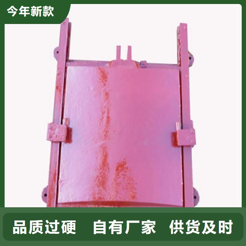 鑄鐵閘門啟閉機(jī)閘門品質(zhì)保證