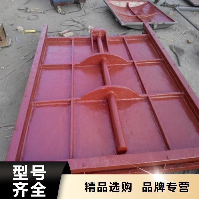 鑄鐵閘門卷閘門好產(chǎn)品價格低