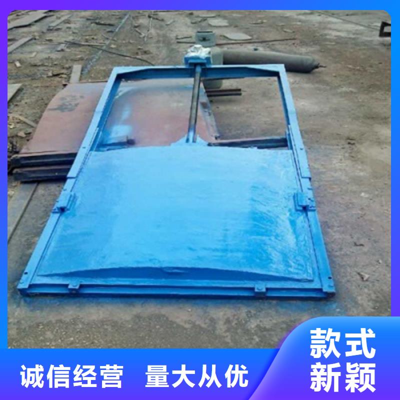 優(yōu)選:水電站鑄鐵閘門工廠