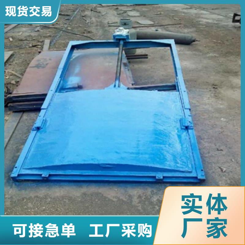 賣(mài)附壁式鑄鐵閘門(mén)的批發(fā)商