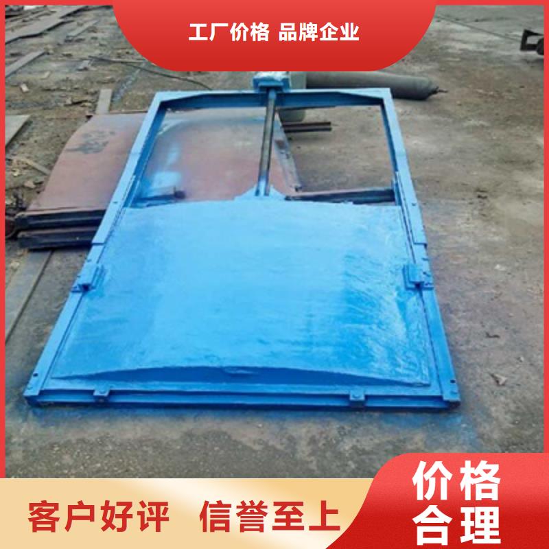 鑄鐵閘門閘門啟閉機廠家質(zhì)量安心