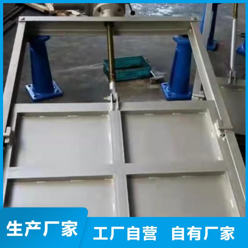  鋼閘門實(shí)力雄厚品質(zhì)保障