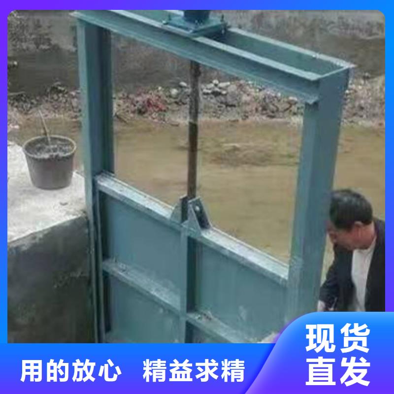 钢闸门 手电两用启闭机货源稳定