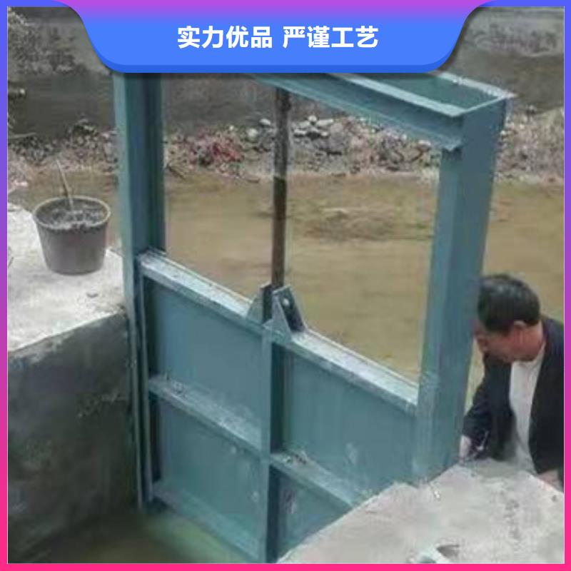 【钢闸门_清污机来图加工定制】