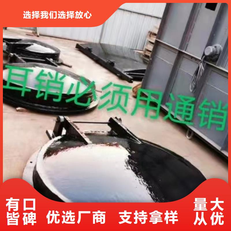  鋼閘門價(jià)格公道合理
