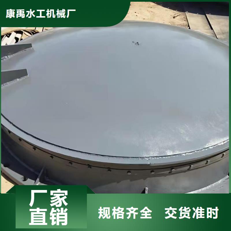  钢闸门多年经验值得信赖