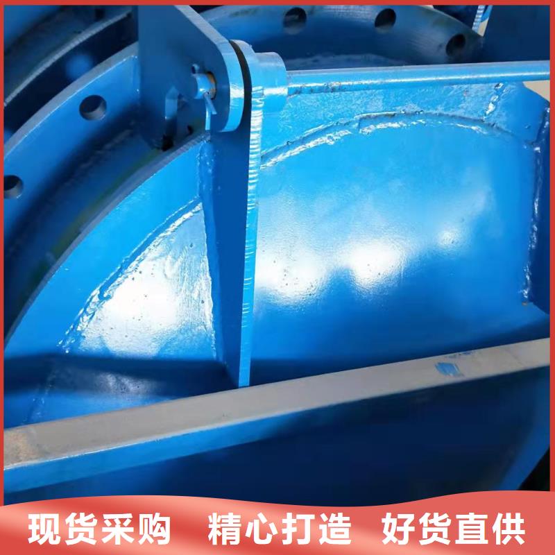  鋼閘門廠家實力雄厚