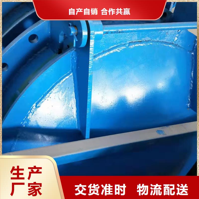 鋼閘門支持加工定制