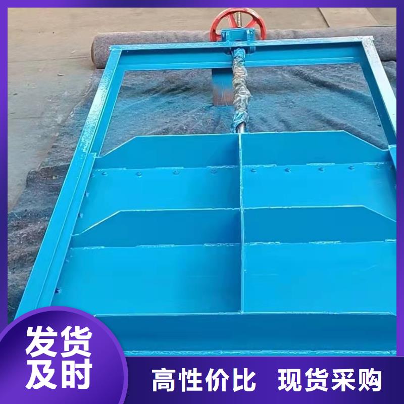 鋼閘門_【啟閉機(jī)閘門】工廠自營(yíng)