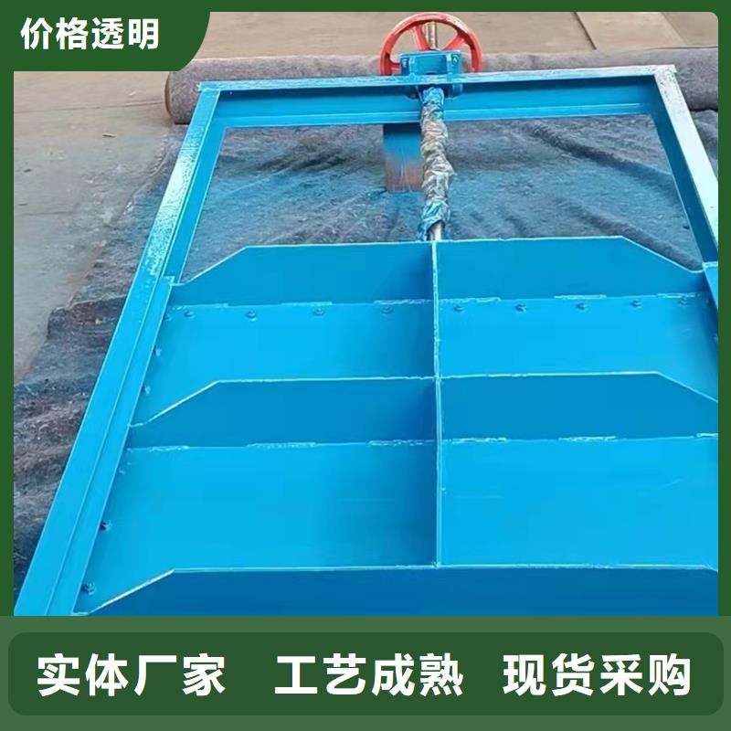  鋼閘門(mén)專(zhuān)業(yè)生產(chǎn)廠(chǎng)家