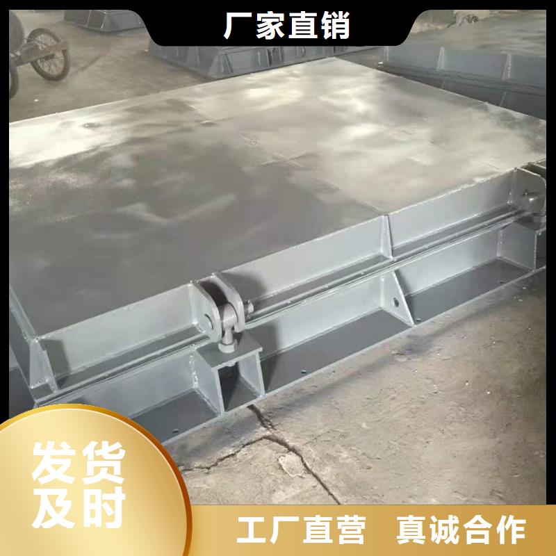  钢闸门厂家直营