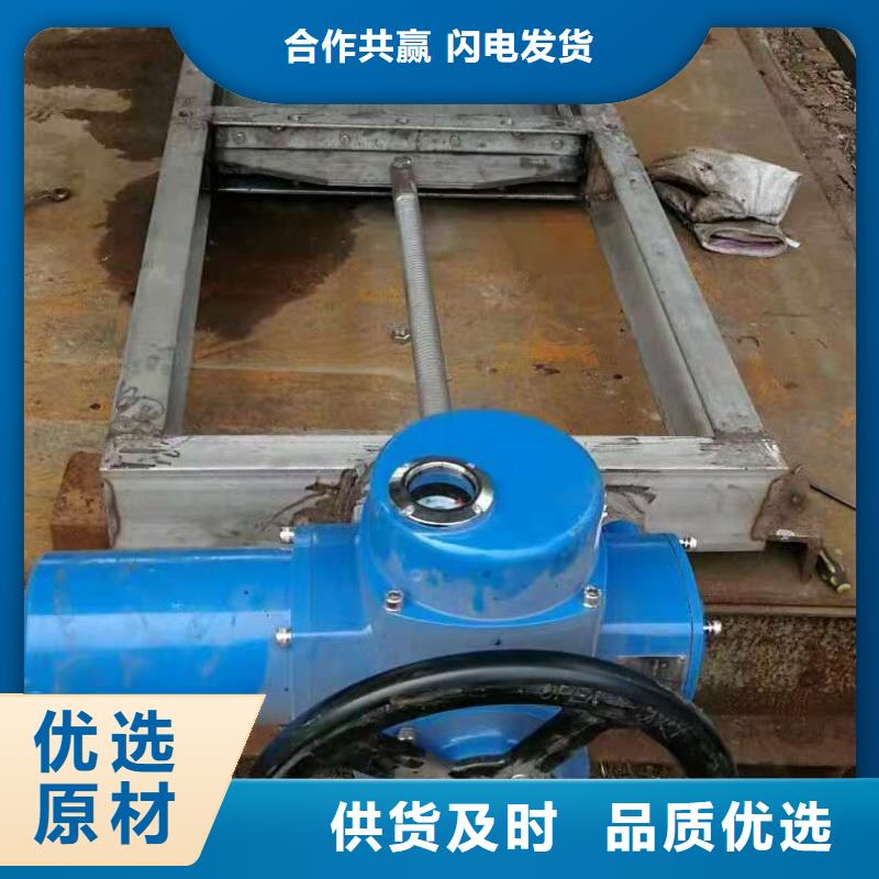 鋼閘門,鋼制拍門選擇大廠家省事省心