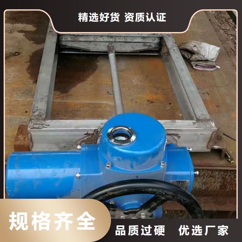 钢闸门-河道清污机源厂直销