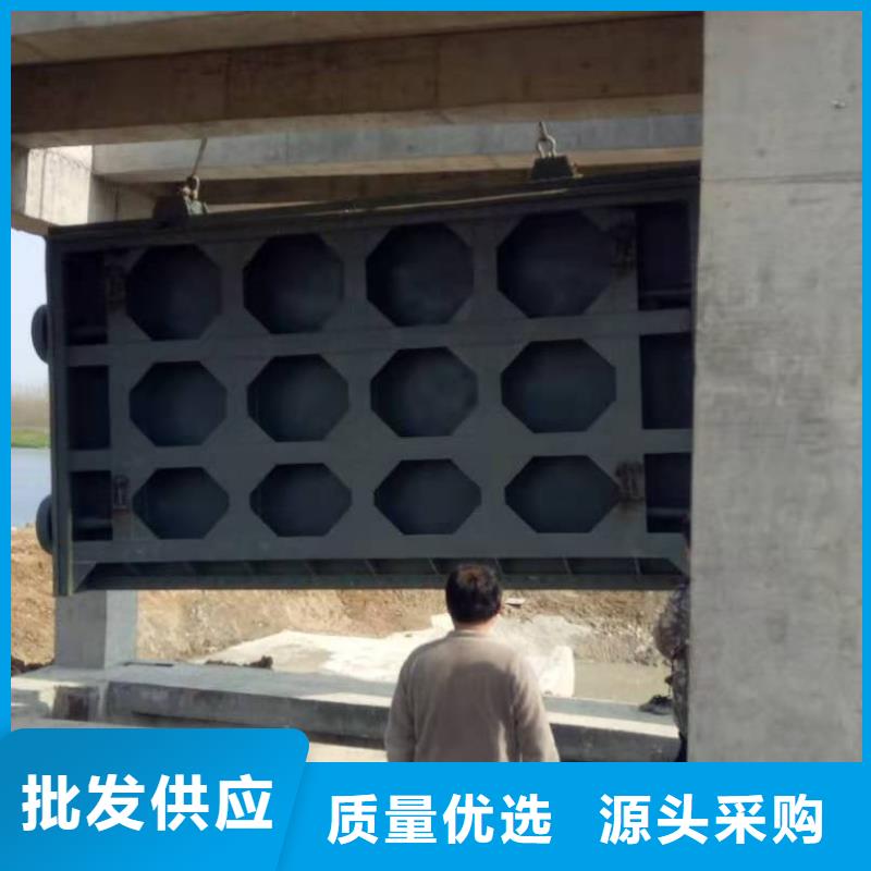 钢闸门河道清污机匠心工艺
