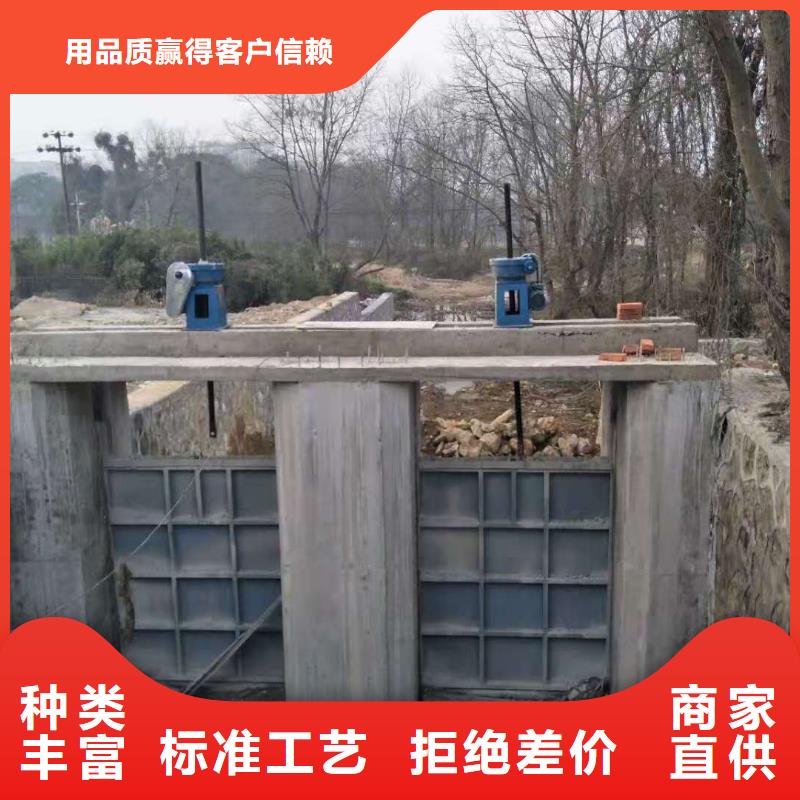 钢闸门自营品质有保障