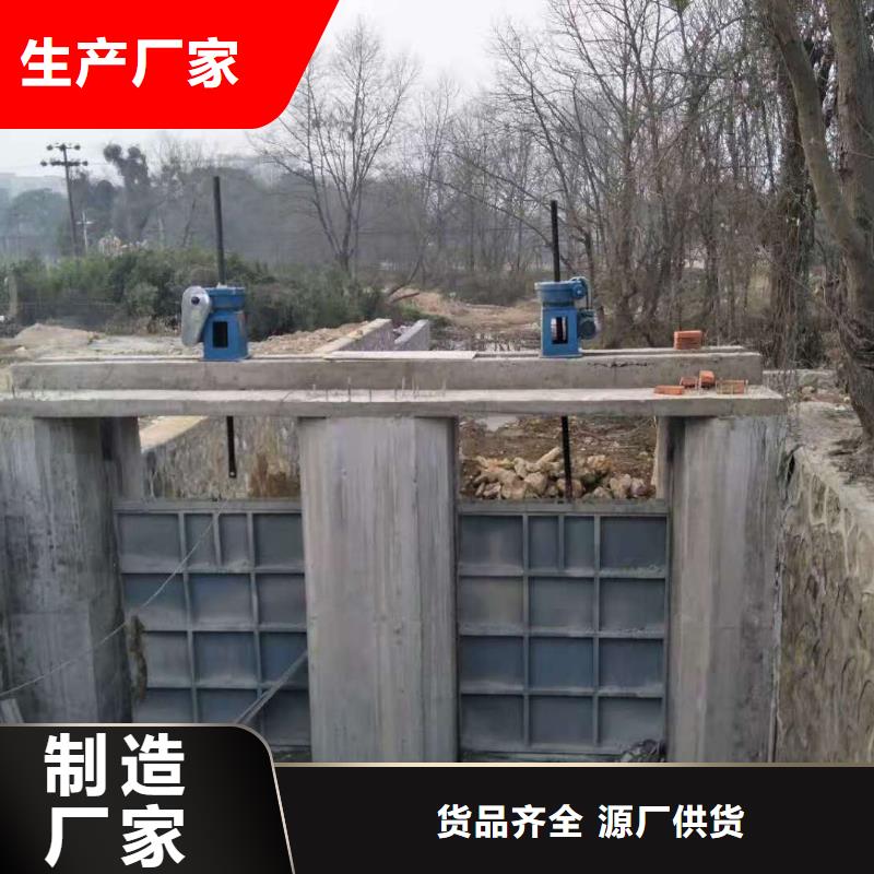 钢闸门,螺杆启闭机厂家工艺精细质保长久