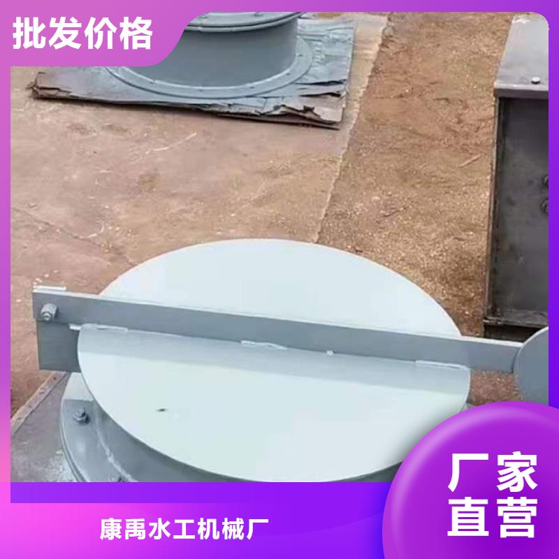 鋼閘門鑄鐵閘門貨真價(jià)實(shí)