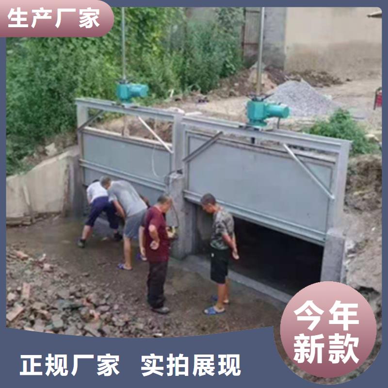 鋼閘門河道清污機(jī)匠心工藝