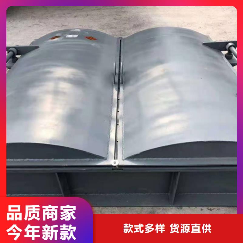 鋼閘門污水除污機追求細節(jié)品質(zhì)