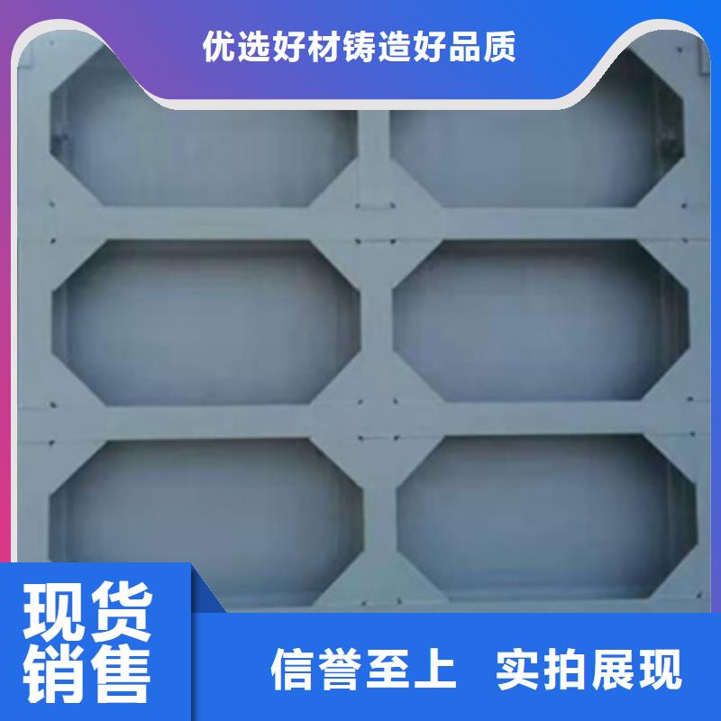鋼閘門專業(yè)品質(zhì)