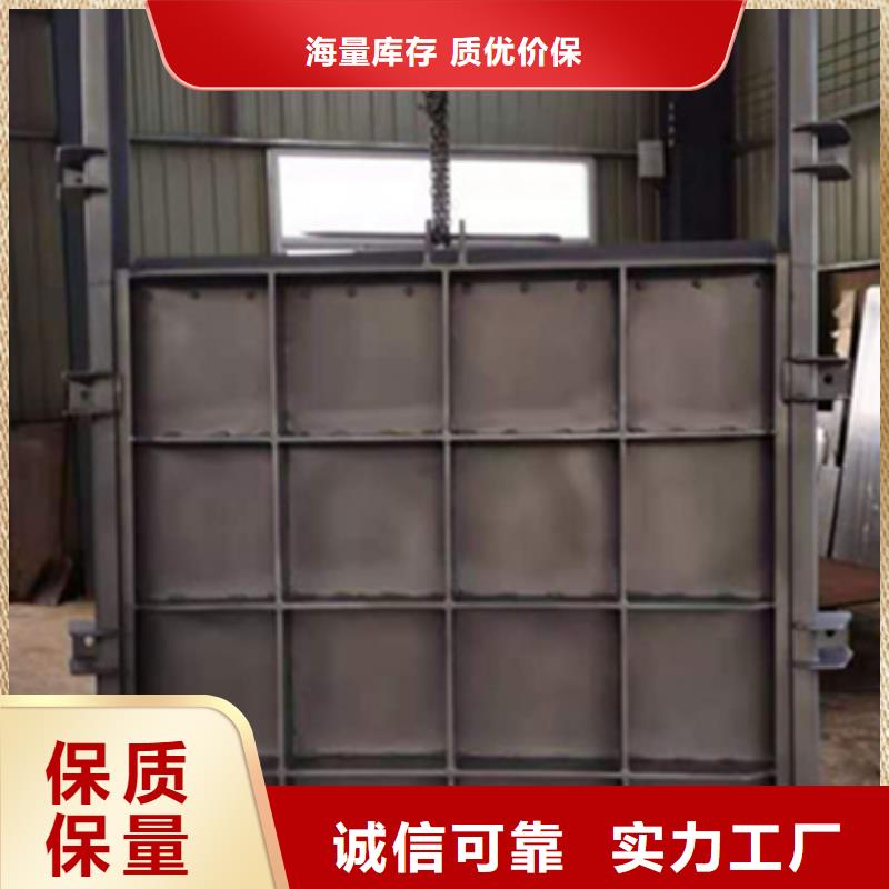 钢闸门 手电两用启闭机货源稳定