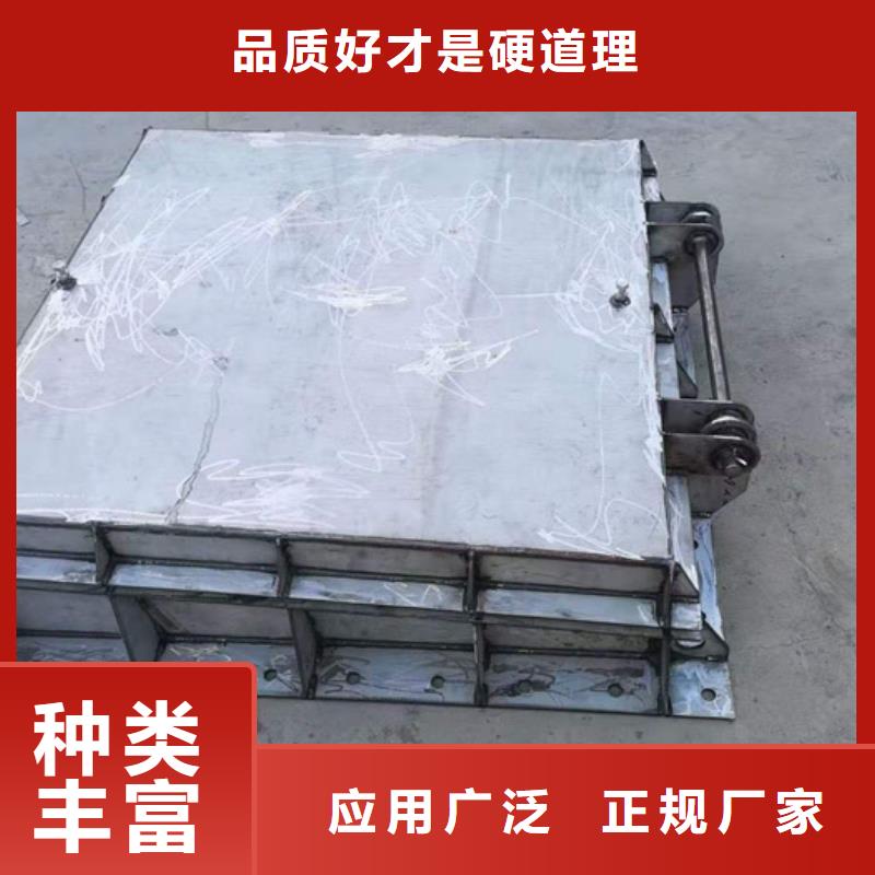 鋼閘門實(shí)力商家供貨穩(wěn)定