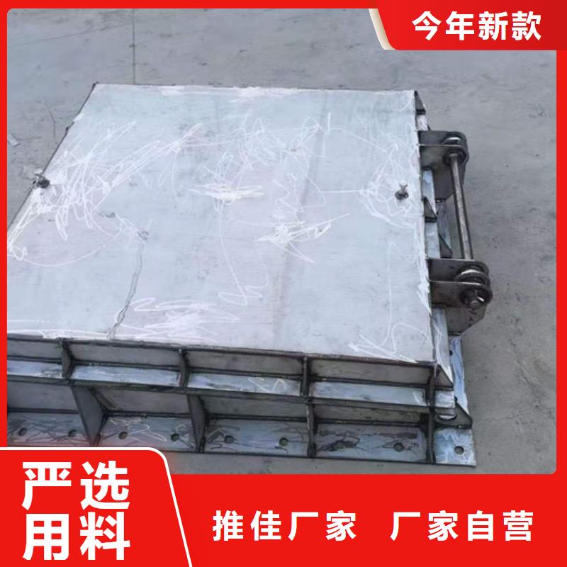  钢闸门价格公道合理